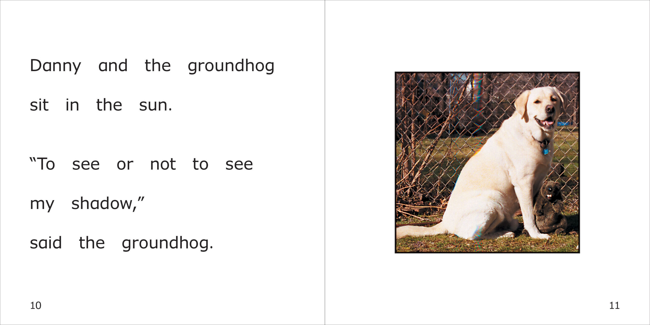 Danny's Groundhog Day Spread