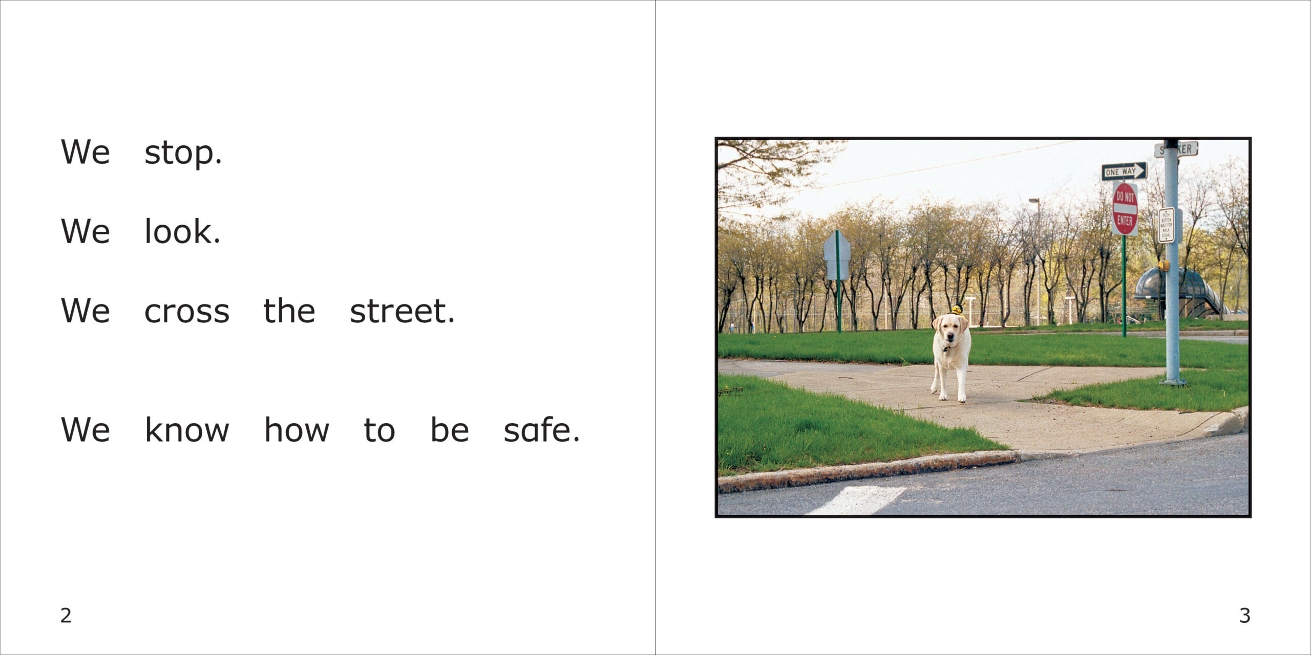 Danny and Bee's Safety Rules Spread