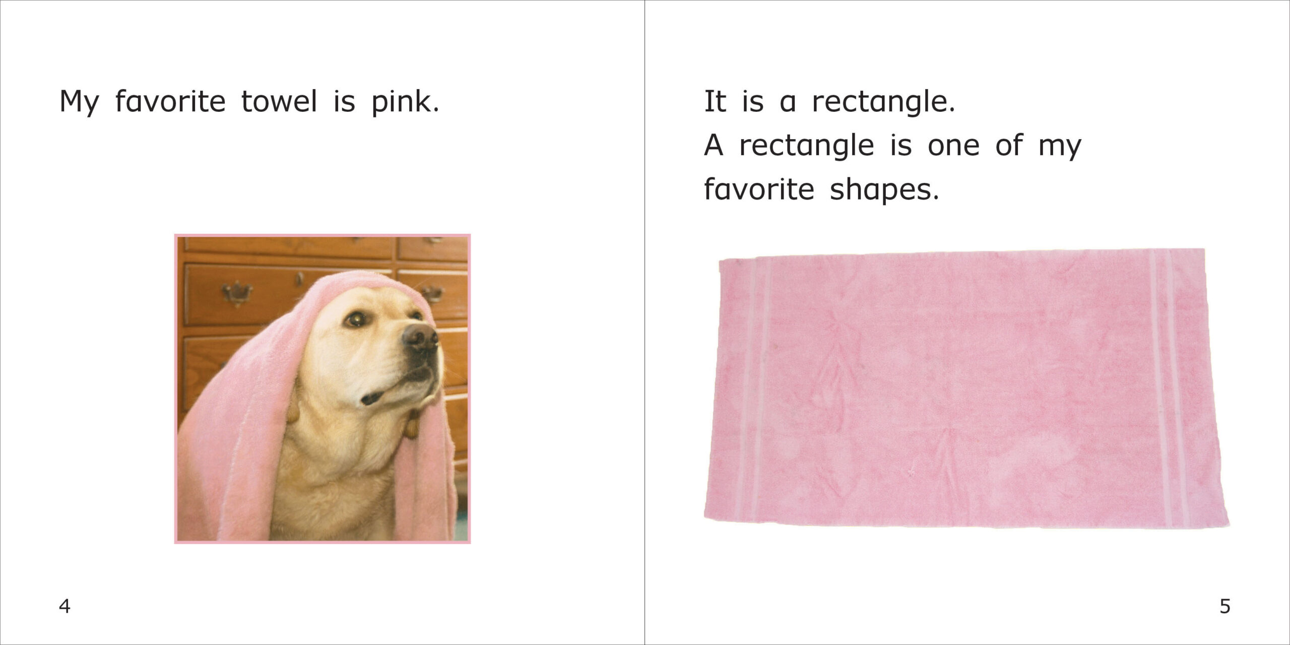 Danny's Favorite Shapes Spread