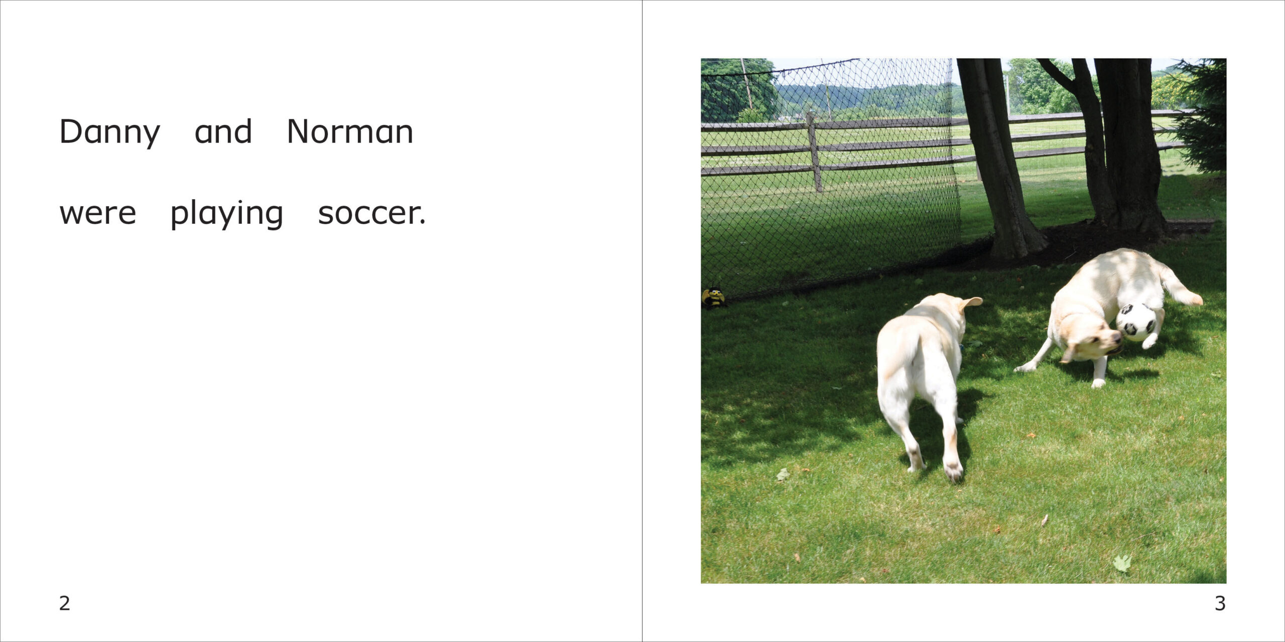 Norman is a Superhero Spread