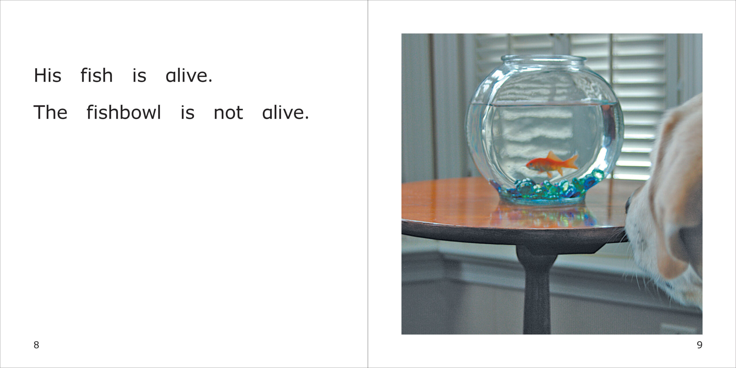 Alive or Not Alive, Danny Spread