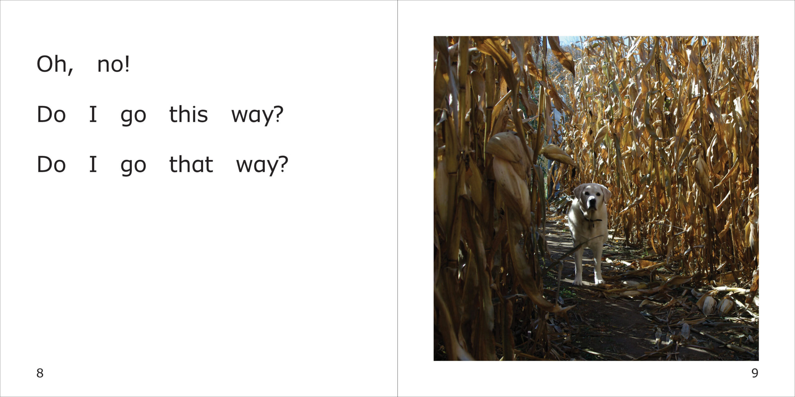 Danny and the Corn Maze Spread