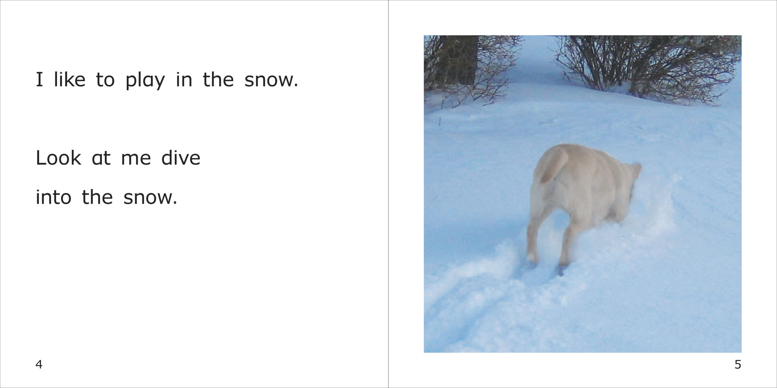 Snow Danny Spread