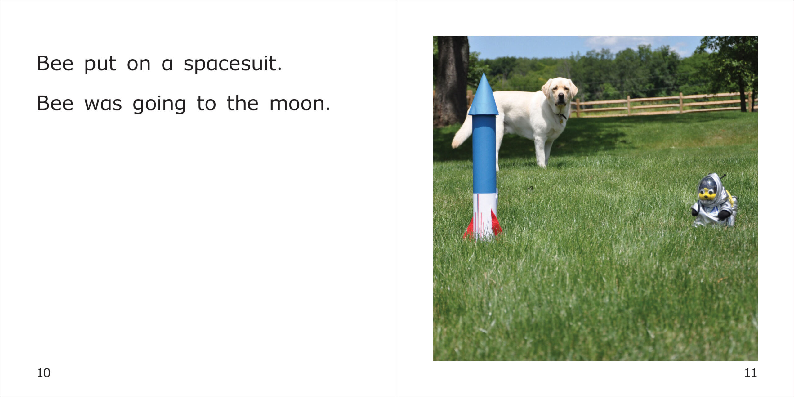 Danny's Rocket Spread