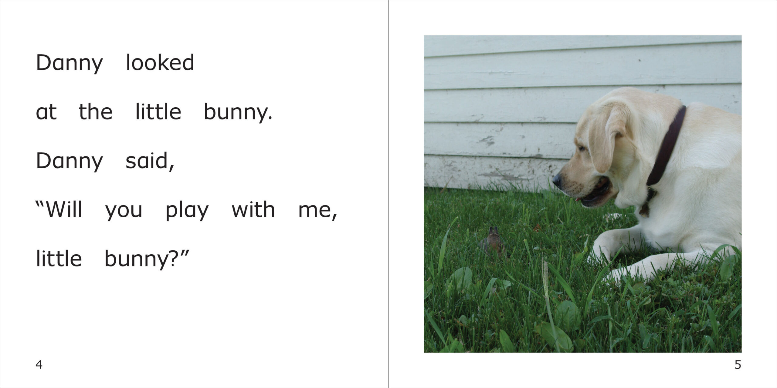 Danny and the Little Bunny Spread