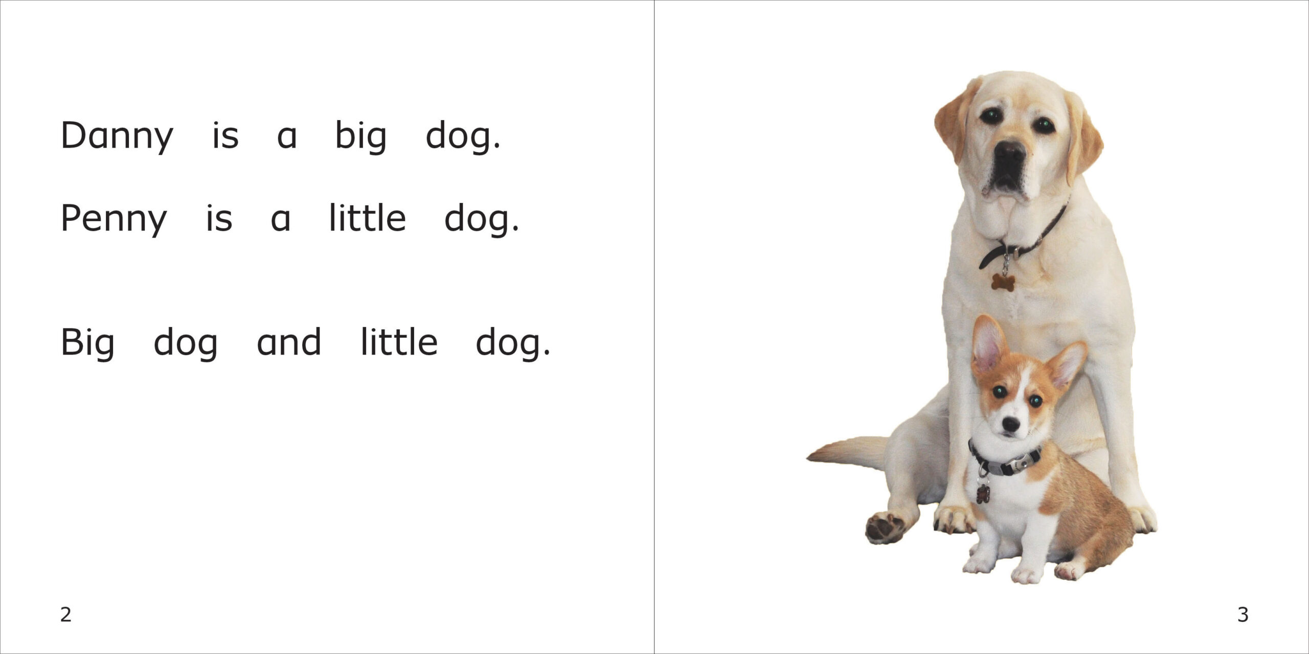 Danny is a Big Dog Spread
