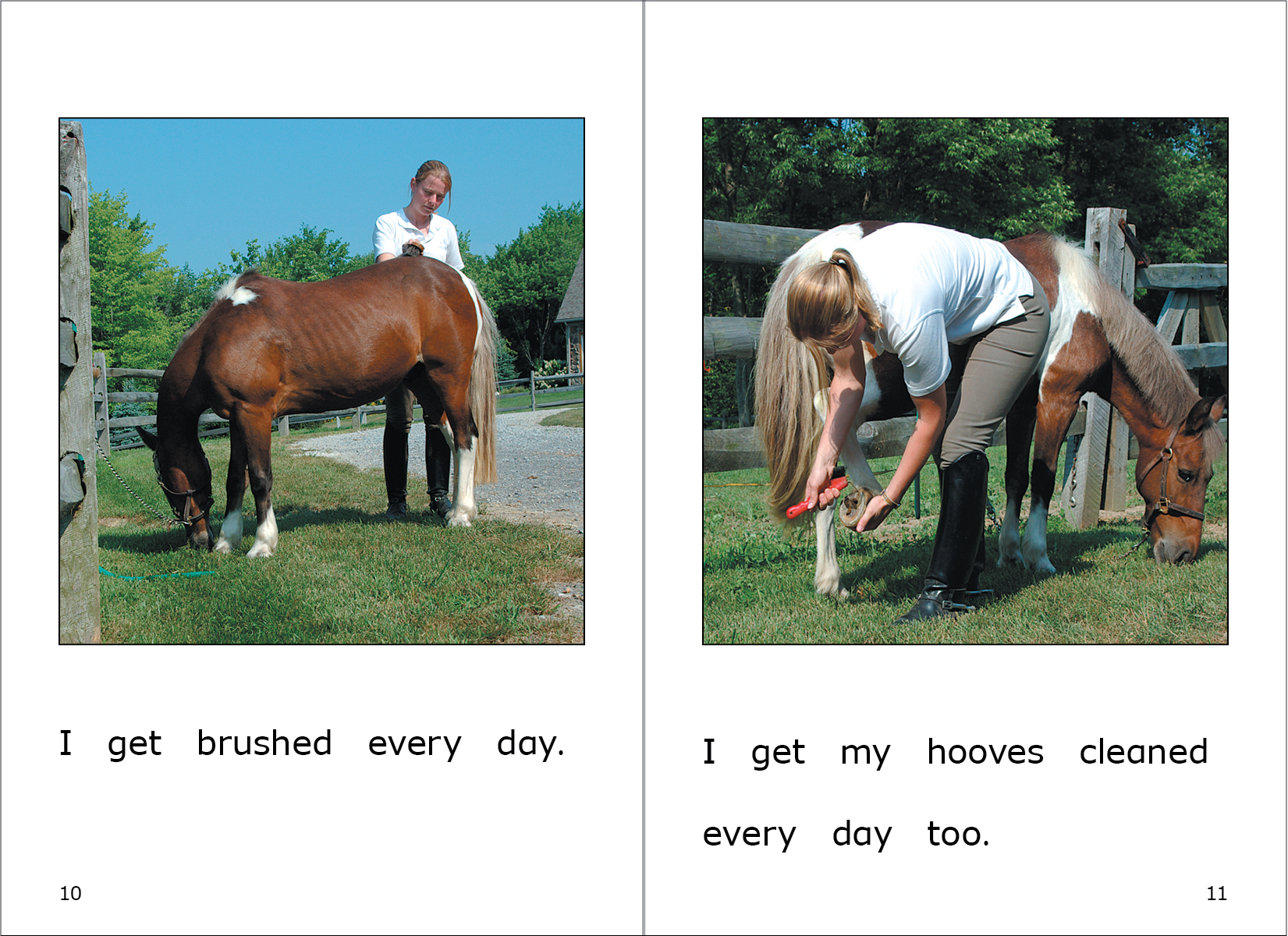 Read about Lucky the pony and how he is cared for at the horse stable.