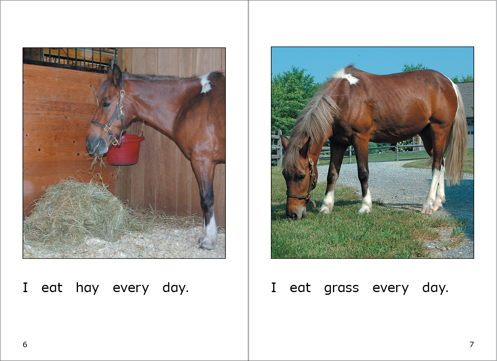 Read about Lucky the pony and how he is cared for at the horse stable.