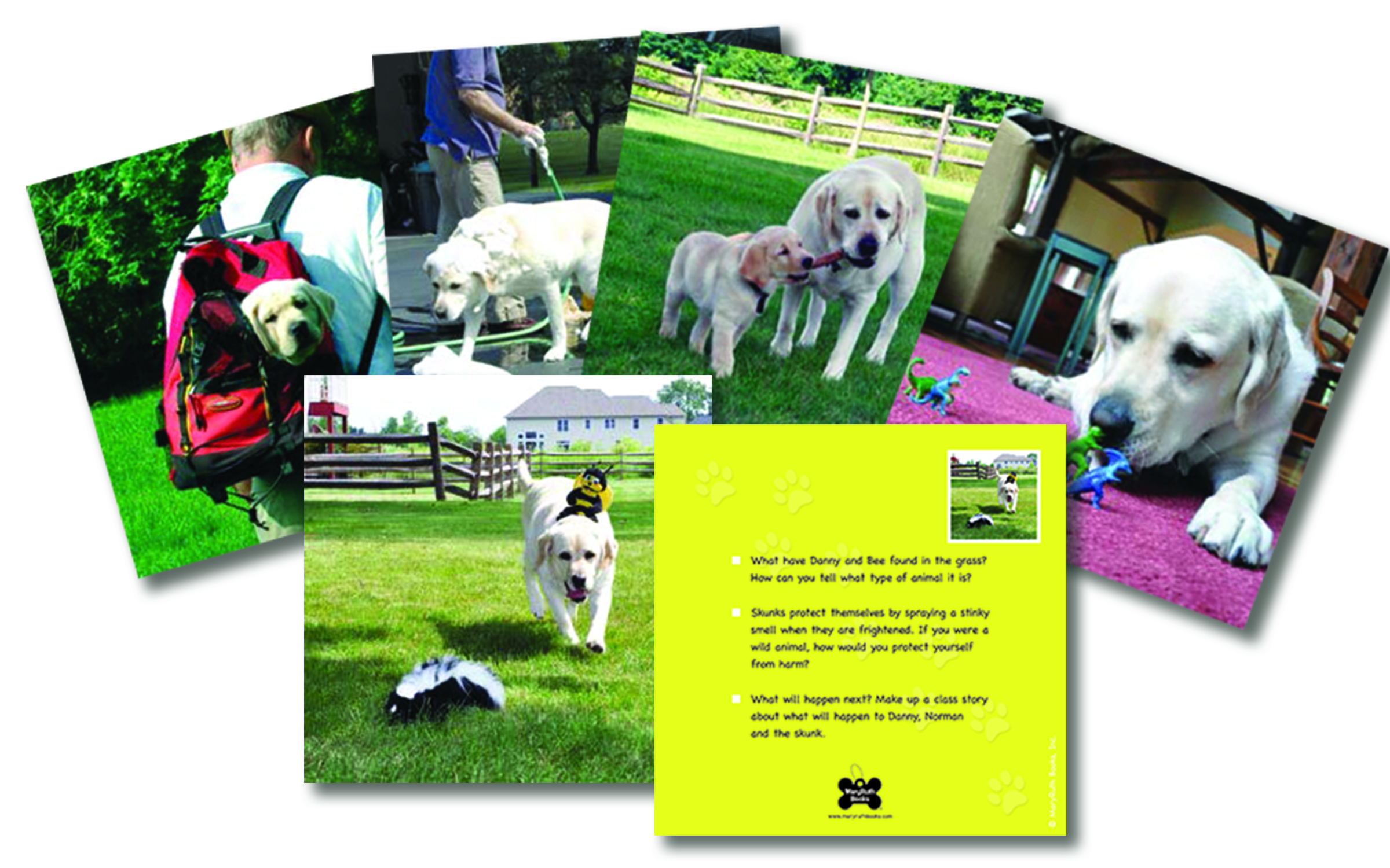 Critical thinking conversation image