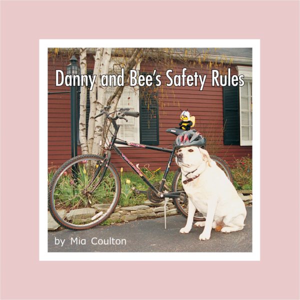 Danny and Bee's Safety Rules Lap Book