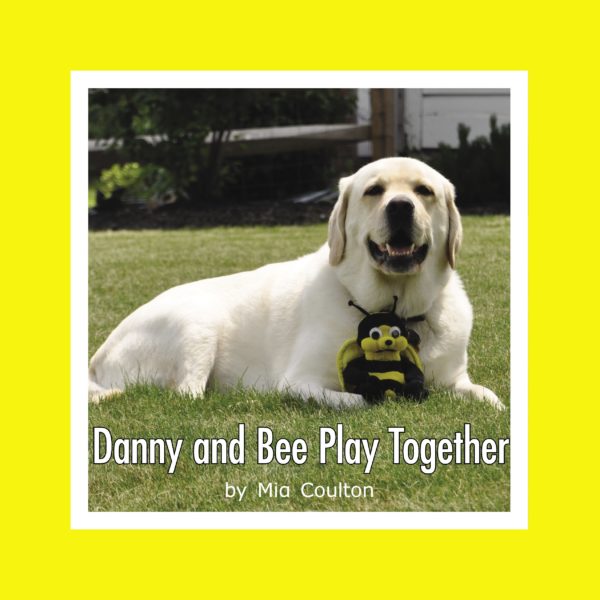 Cover of Danny and Bee Play Together Lap Book