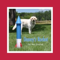 Cover of Danny's Rocket Lap Book