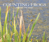 Cover of Counting Frogs Around the Pond