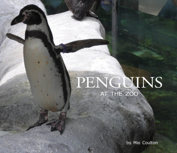 Cover of Penguins at the Zoo