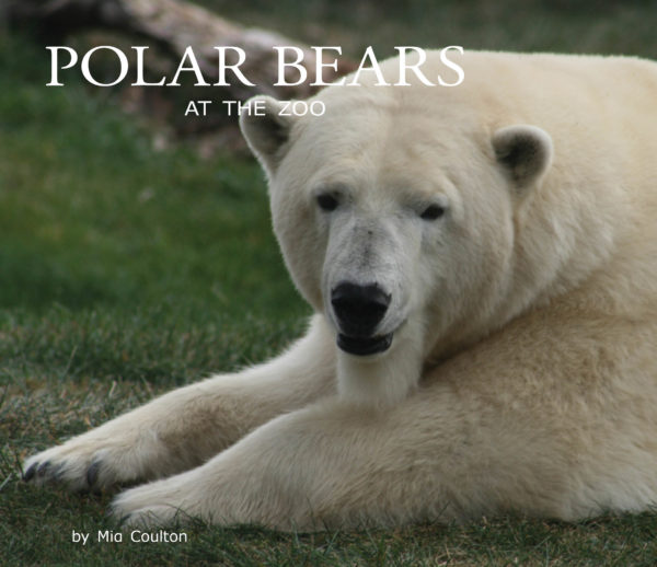 Polar Bears at the Zoo Cover