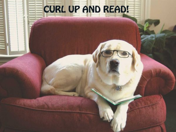 Curl Up and Read Poster