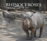 Rhinoceroses At The Zoo