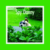 Spy Danny Cover