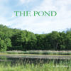 Cover of The Pond