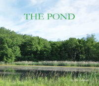 Cover of The Pond