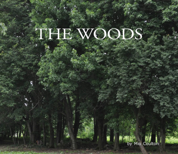 Cover of The Woods