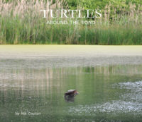 Cover of Turtles Around the Pond