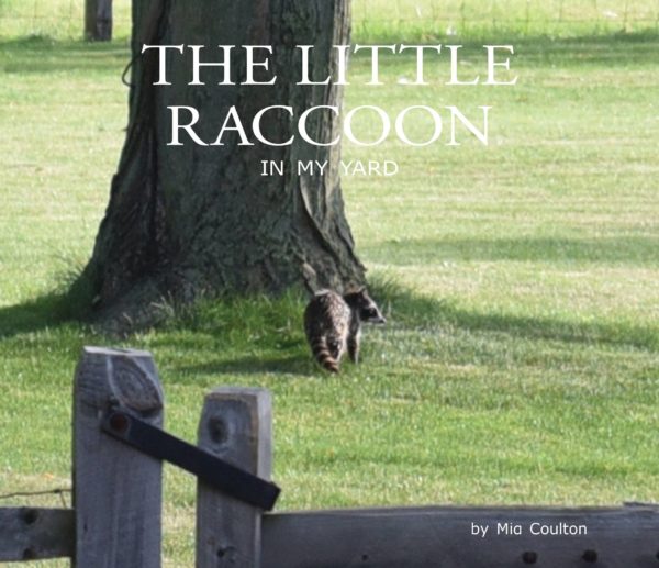 Cover of The Little Raccoon in My Yard