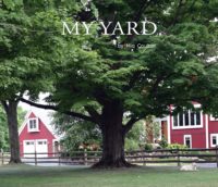 My Yard