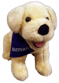 My Very Own Norman