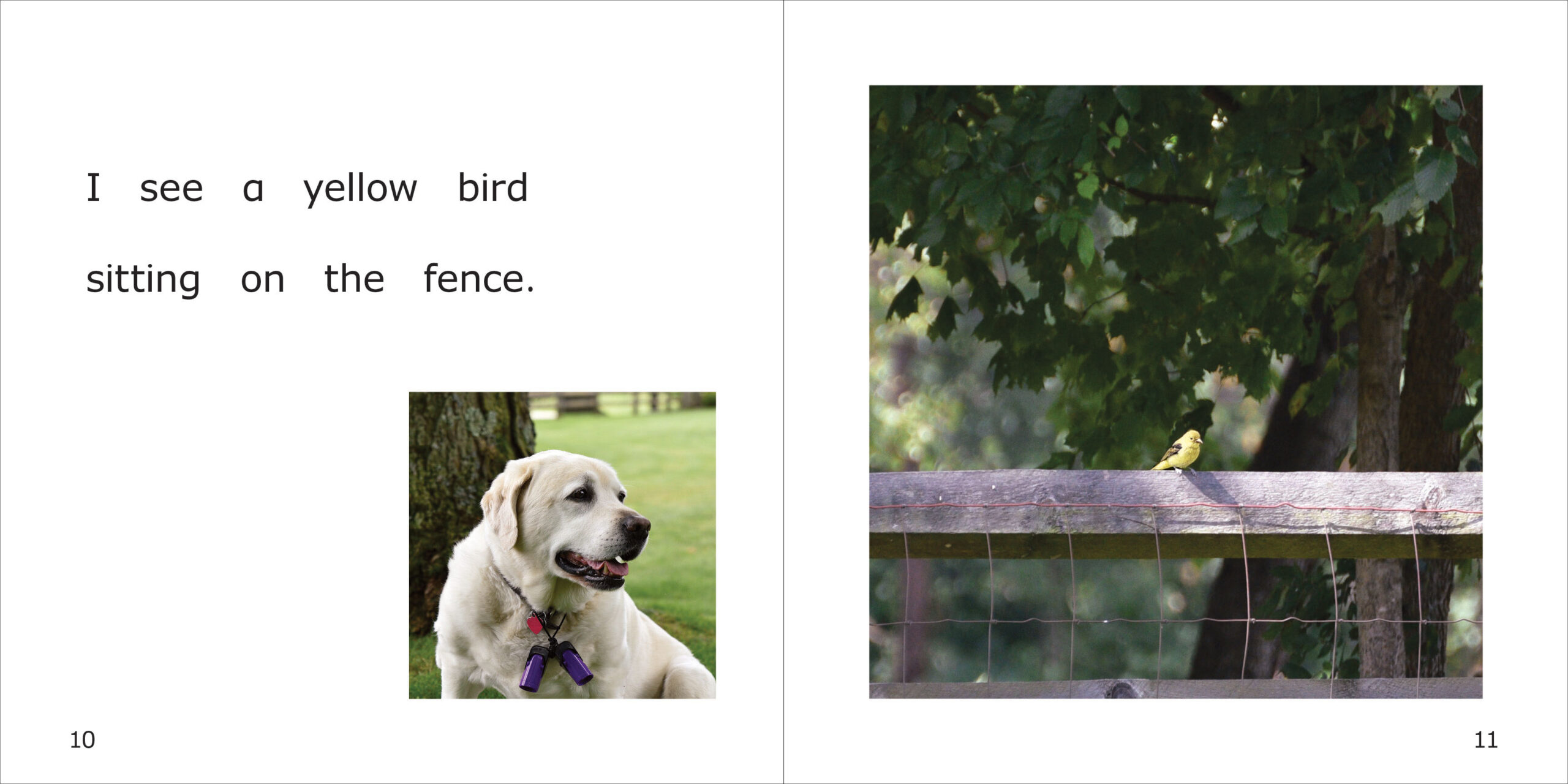 Ornithologist Danny Spread