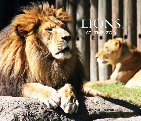 The nonfiction title Lions at the Zoo CVR