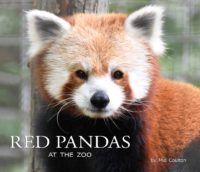 Red Pandas at the Zoo cover