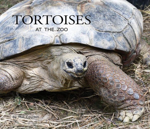 Cover of Tortoises at the Zoo for upper emergent readers