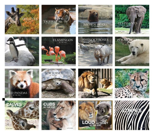 Front covers of the At the Zoo Collection