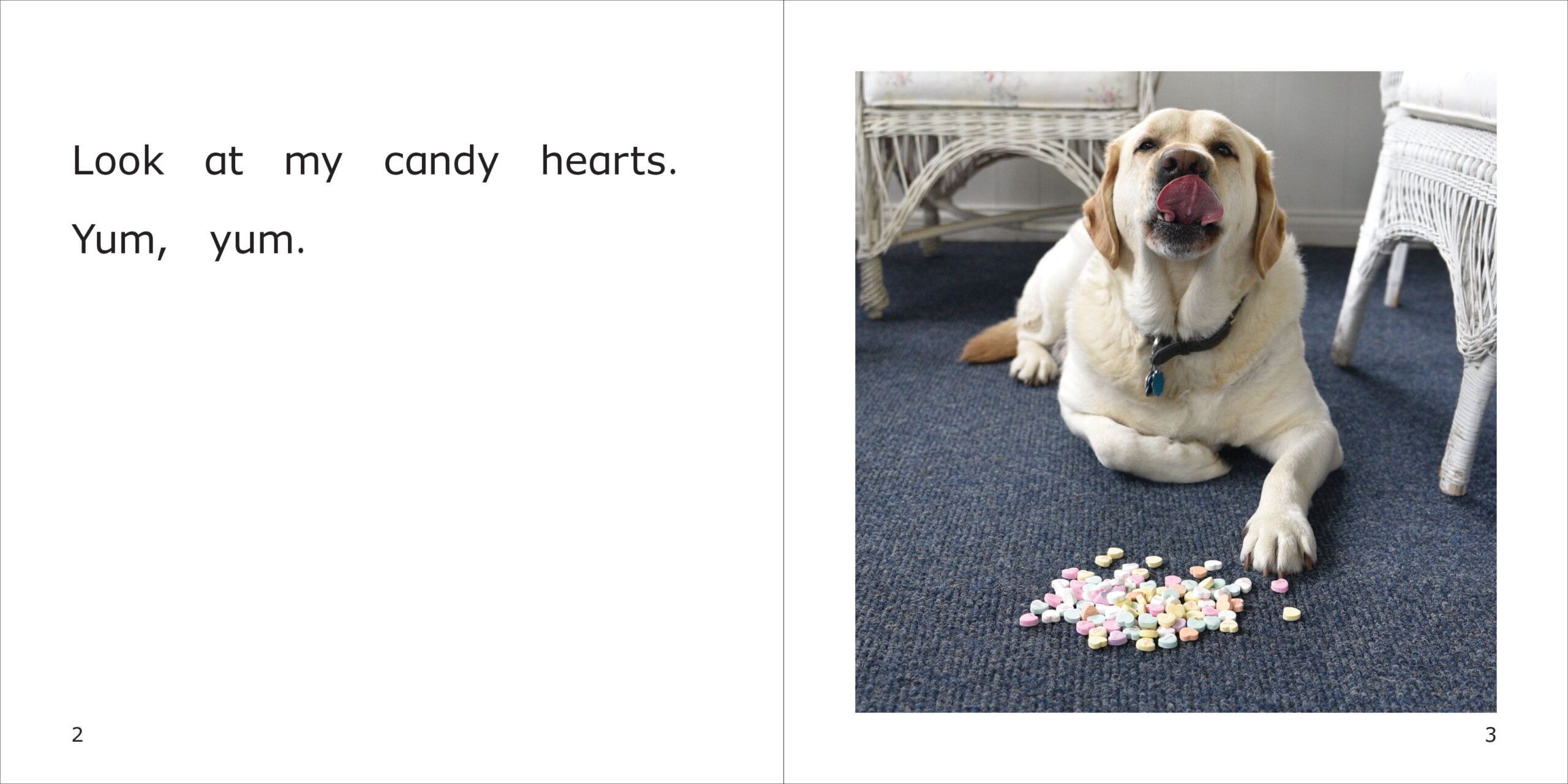 Norman's Candy Hearts Spread