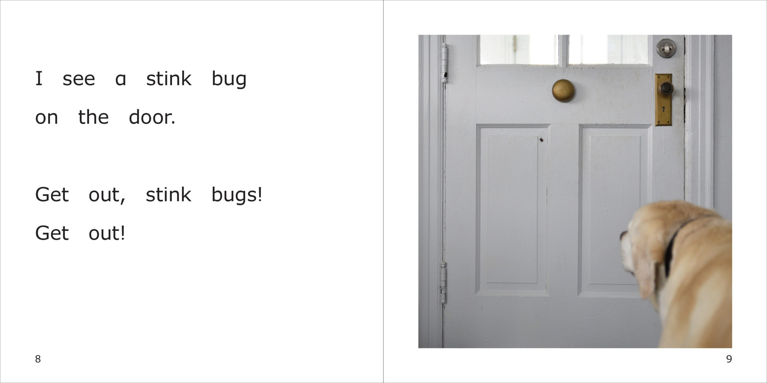 Stink Bugs in Danny's House Spread