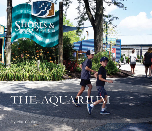 The Aquarium cover