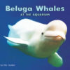 Beluga Whales At TheAquarium Cover