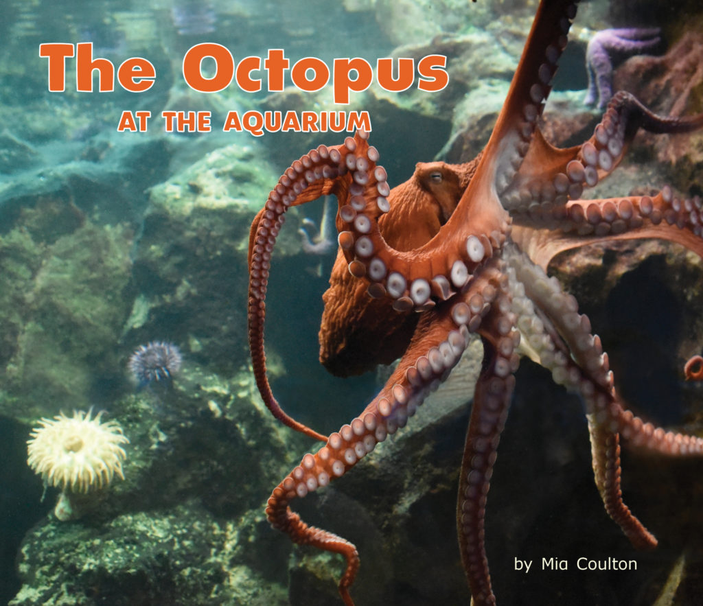 Learn about the awesome octopus in The Octopus at the Aquarium.