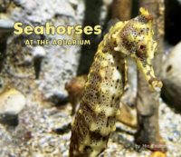 Seahorses At The Aquarium Cover