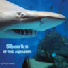 Sharks At The Aquarium Cover