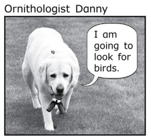 Ornithologist Danny