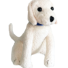 Puppy Norman
