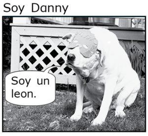 Soy Danny