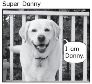 Super Danny