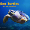 Sea Turtles at the Aquarium_CVR