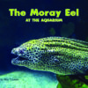 The Moray Eel at the Aquarium_CVR