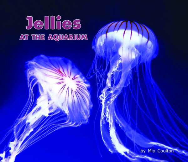 Jellies at The Aquarium