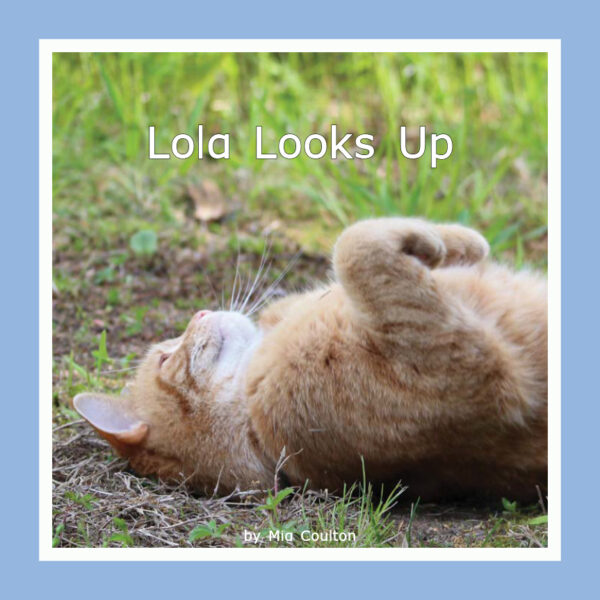 Lola Looks Up