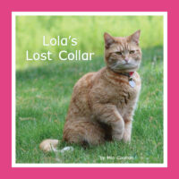 Lola's Lost Collar